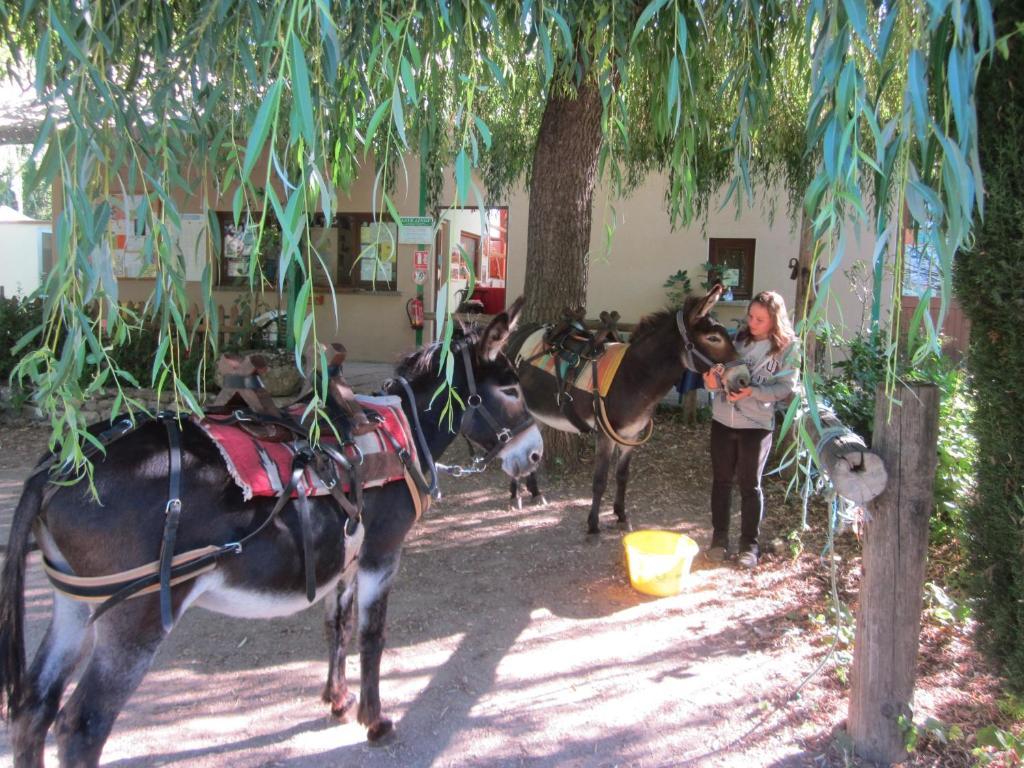 Le Vallon Ispagnac Екстер'єр фото